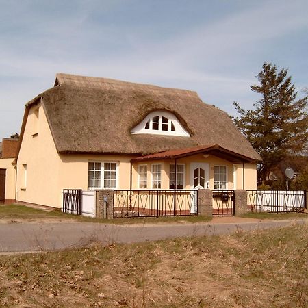 Вилла Ferienhaeuschen Борн Экстерьер фото