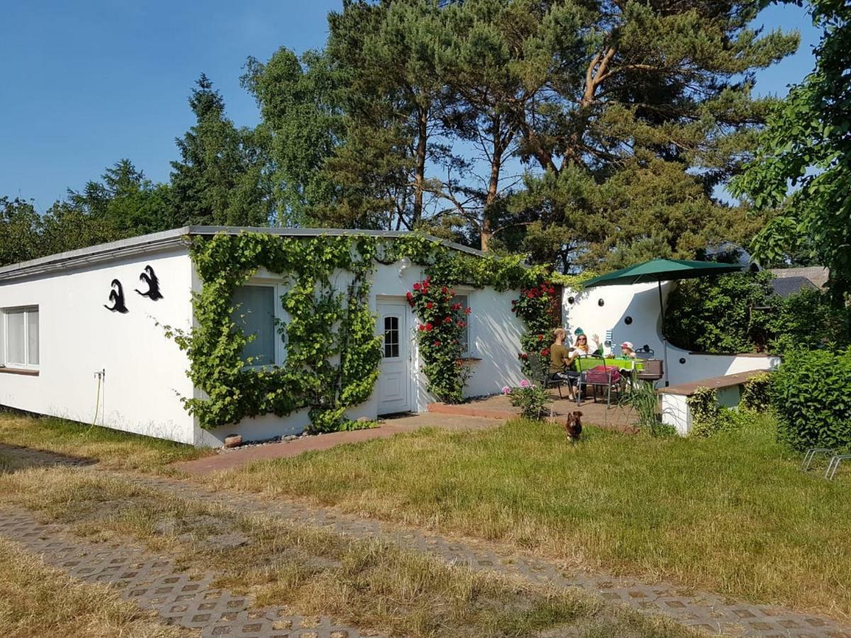 Вилла Ferienhaeuschen Борн Экстерьер фото